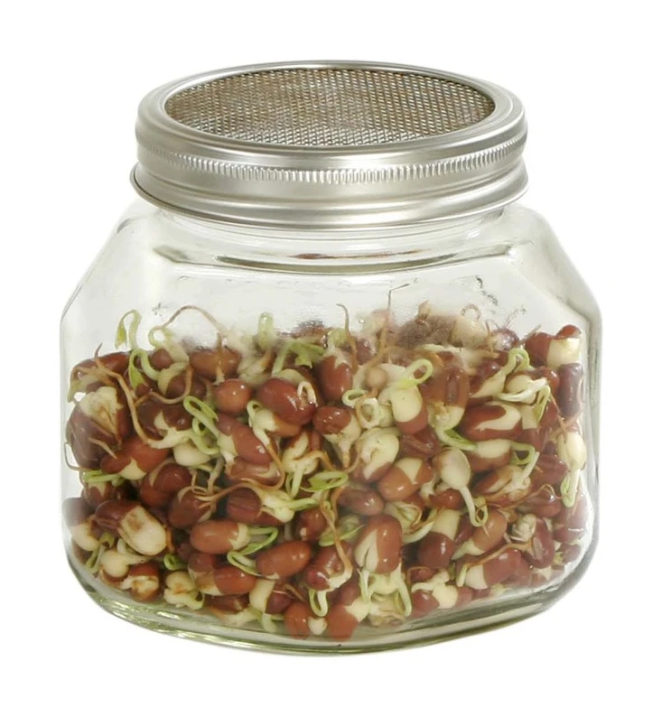 Sprossenglas (750 Ml) | Sprossengläser Von Eschenfelder 1 Sprossenglas (750 Ml) | Sprossengläser Von Eschenfelder