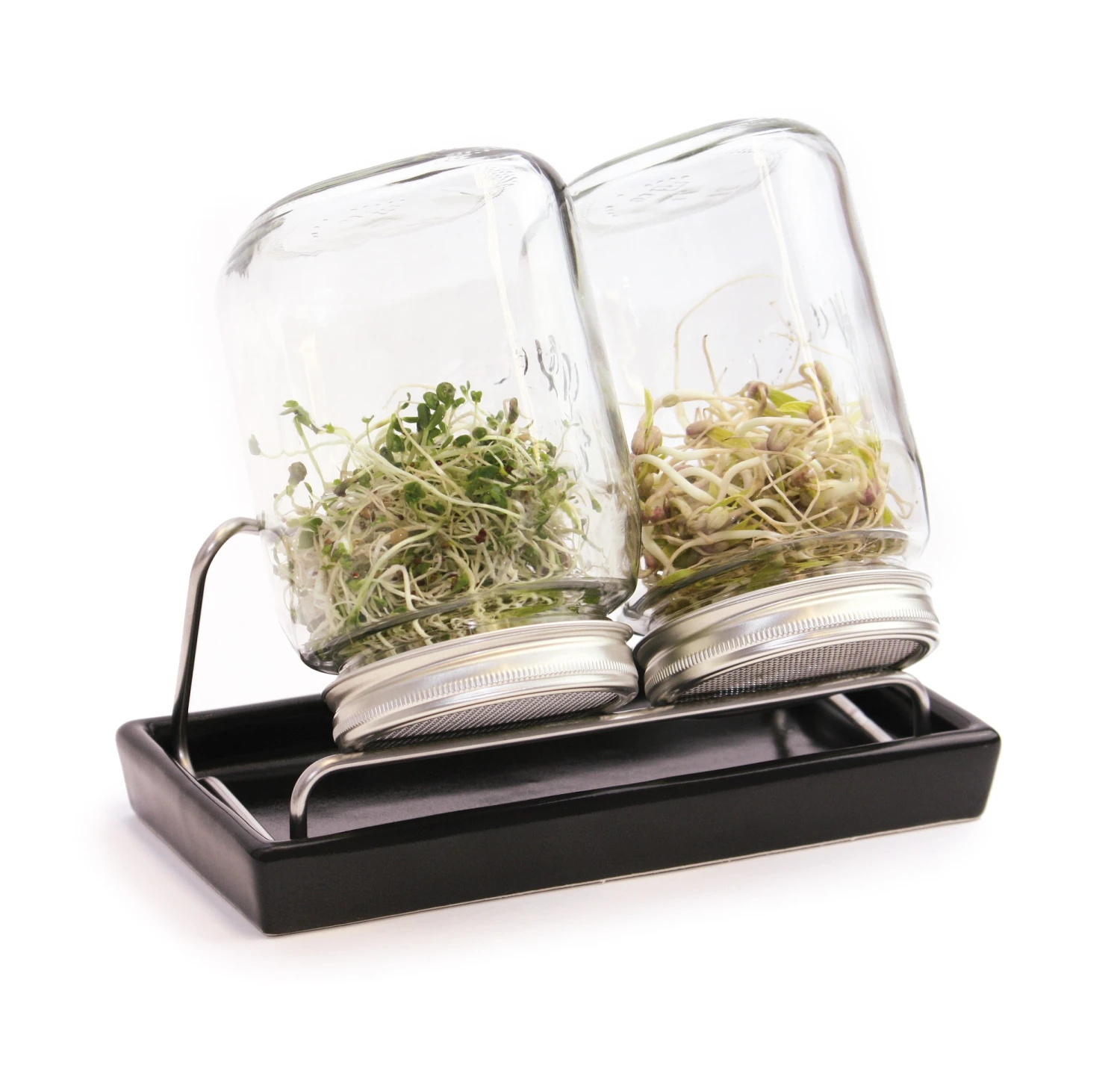 Sprossenglas-System II Anthrazit (1000 Ml) | Sprossengläser Von Eschenfelder 1 Sprossenglas-System II Anthrazit (1000 Ml) | Sprossengläser Von Eschenfelder