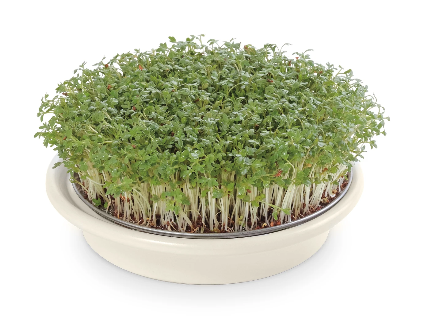 Kressesieb Weiß (16 Cm) | Sprossensiebe Von Eschenfelder 1 Kressesieb Weiß (16 Cm) | Sprossensiebe Von Eschenfelder