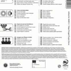 Gefranste Tulpe Purple Circus (7 Stück) | Tulpenzwiebeln Von Kiepenkerl