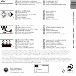 Triumphtulpe Prinses Irene (7 Stück) | Tulpenzwiebeln Von Kiepenkerl