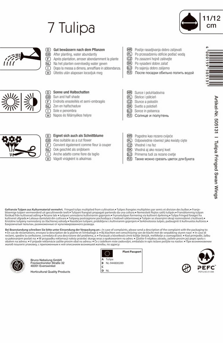 Gefranste Tulpe Swan Wings (7 Stück) | Tulpenzwiebeln Von Kiepenkerl 1 Gefranste Tulpe Swan Wings (7 Stück) | Tulpenzwiebeln Von Kiepenkerl