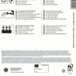 Kaufmanniana-Tulpe Stresa (7 Stück) | Tulpenzwiebeln Von Kiepenkerl