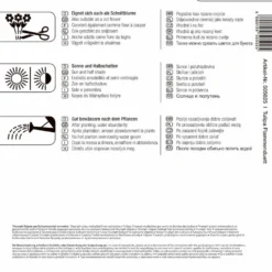 Mega-Pack Flammenduett Triumphtulpe (17 Stück) | Tulpenzwiebeln Von Kiepenkerl