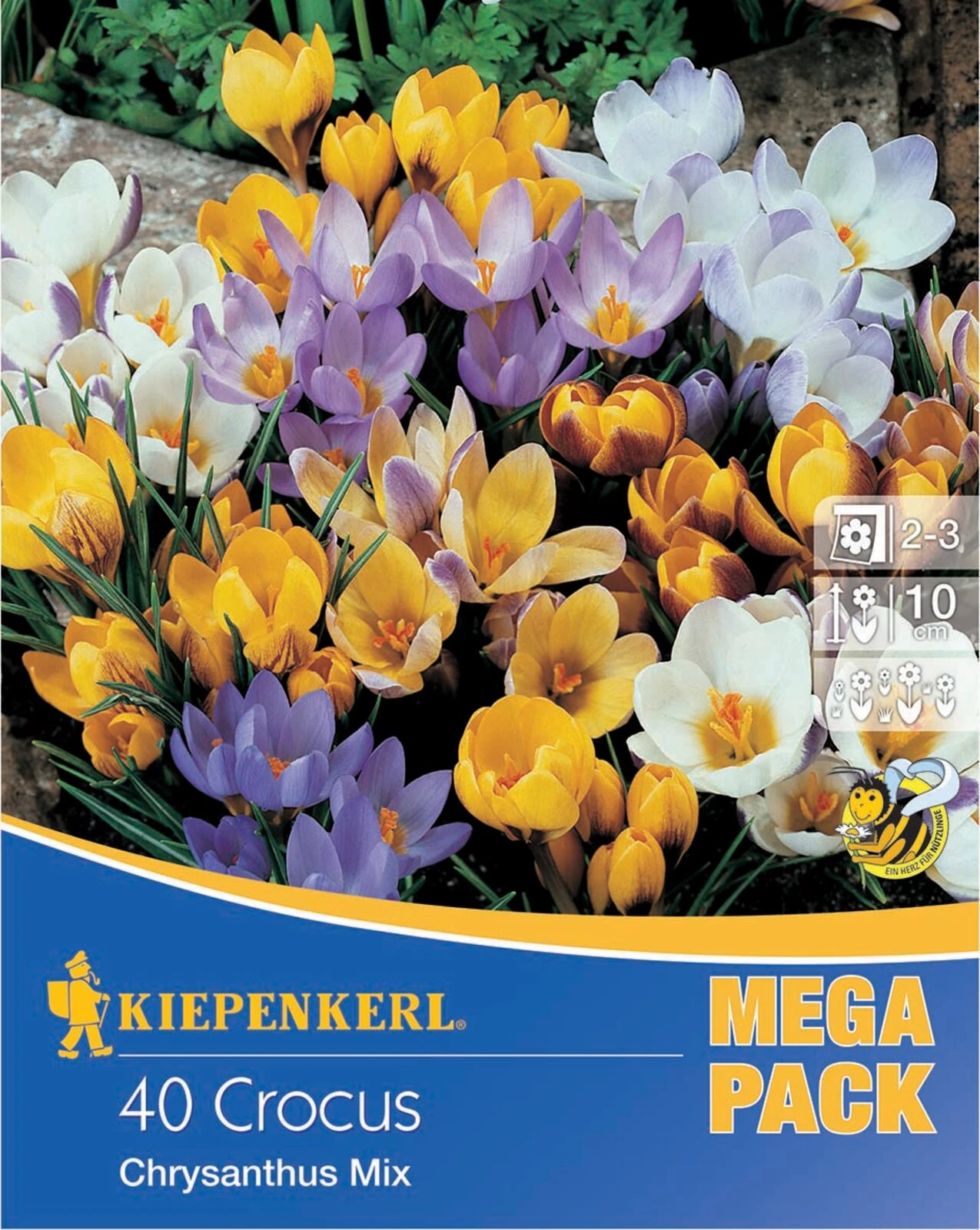 Mega-Pack Wildkrokusmischung (40 Stück) | Krokuszwiebeln Von Kiepenkerl 1 Mega-Pack Wildkrokusmischung (40 Stück) | Krokuszwiebeln Von Kiepenkerl