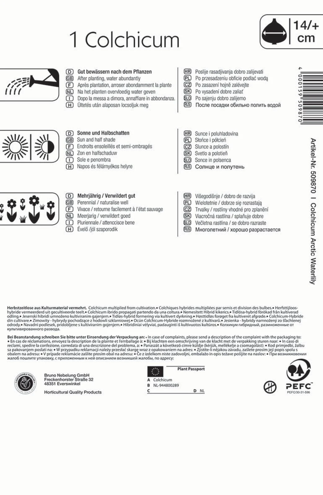 Herbstzeitlose Arctic Waterlily (1 Stück) | Herbstzeitlosen Von Kiepenkerl 1 Herbstzeitlose Arctic Waterlily (1 Stück) | Herbstzeitlosen Von Kiepenkerl