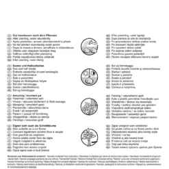 Narzisse California (23 Stück) | Narzissenzwiebeln Von Pegasus