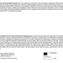 Botanische Krokus Mischung (60 Stück) | Krokuszwiebeln Von Pegasus