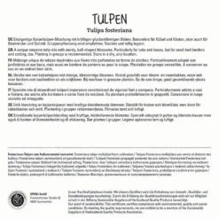 Tulpe Mischung (10 Stück) | Fosteriana-Tulpen Von Sperli