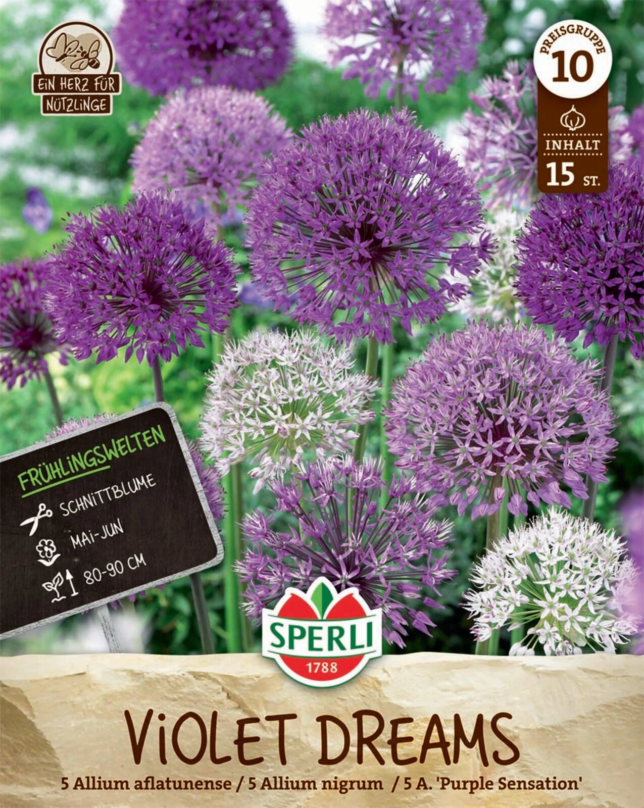 Frühlingsgarten Violet Dreams (15 Stück) | Zierlauchzwiebeln Von Sperli 2 Frühlingsgarten Violet Dreams (15 Stück) | Zierlauchzwiebeln Von Sperli – Bild 2