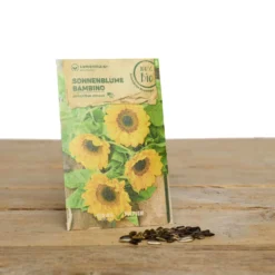 Blumen Set Bibi Balkonessa | BIO Blumensamen-Sets Von Samen Maier [MHD 12/2023] -Blumen Raum Verkaufsgeschäft 549604 BIO Blumen Set Bibi Balkonessa A03 sm 2