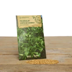 Wintergarten Set Humphrey Snowgart | BIO Gemüsesamen-Sets Von Samen Maier [MHD 12/2023] -Blumen Raum Verkaufsgeschäft 549606 BIO Wintergarten Set Humphrey Snowgart A05 sm 3