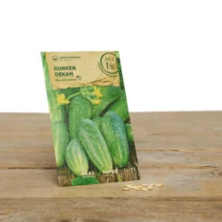 Bauerngarten Set Gitti Gartenschlau | BIO Gemüsesamen-Sets Von Samen Maier -Blumen Raum Verkaufsgeschäft 549608 BIO Bauerngarten Set Gitti Gartenschlau A07 sm 2