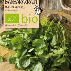 Beet - Box Wintergemüse | BIO Gemüsesamen-Sets Von Samen Maier 11 Beet - Box Wintergemüse | BIO Gemüsesamen-Sets Von Samen Maier -Blumen Raum Verkaufsgeschäft 549612 BIO Beet Box Wintergemuese BB26 sm 2