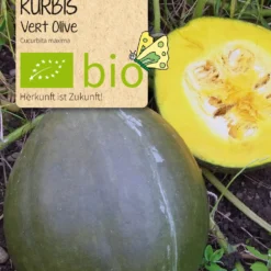 Beet - Box Frohe Weihnachten | BIO Gemüsesamen-Sets Von Samen Maier -Blumen Raum Verkaufsgeschäft 549613 BIO Beet Box Frohe Weihnachten MHD 02 2022 BB28 sm 2