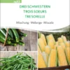 Drei Schwestern Mischung | BIO Gemüsesamen-Sets Von Sativa Rheinau