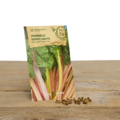 Gewächshaus Set Albert Pflanzfein | BIO Gemüsesamen-Sets Von Samen Maier -Blumen Raum Verkaufsgeschäft 550509 BIO Gewaechshaus Set Albert Pflanzfein A08 sm 1