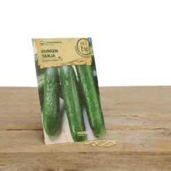 Gewächshaus Set Albert Pflanzfein | BIO Gemüsesamen-Sets Von Samen Maier -Blumen Raum Verkaufsgeschäft 550509 BIO Gewaechshaus Set Albert Pflanzfein A08 sm 4