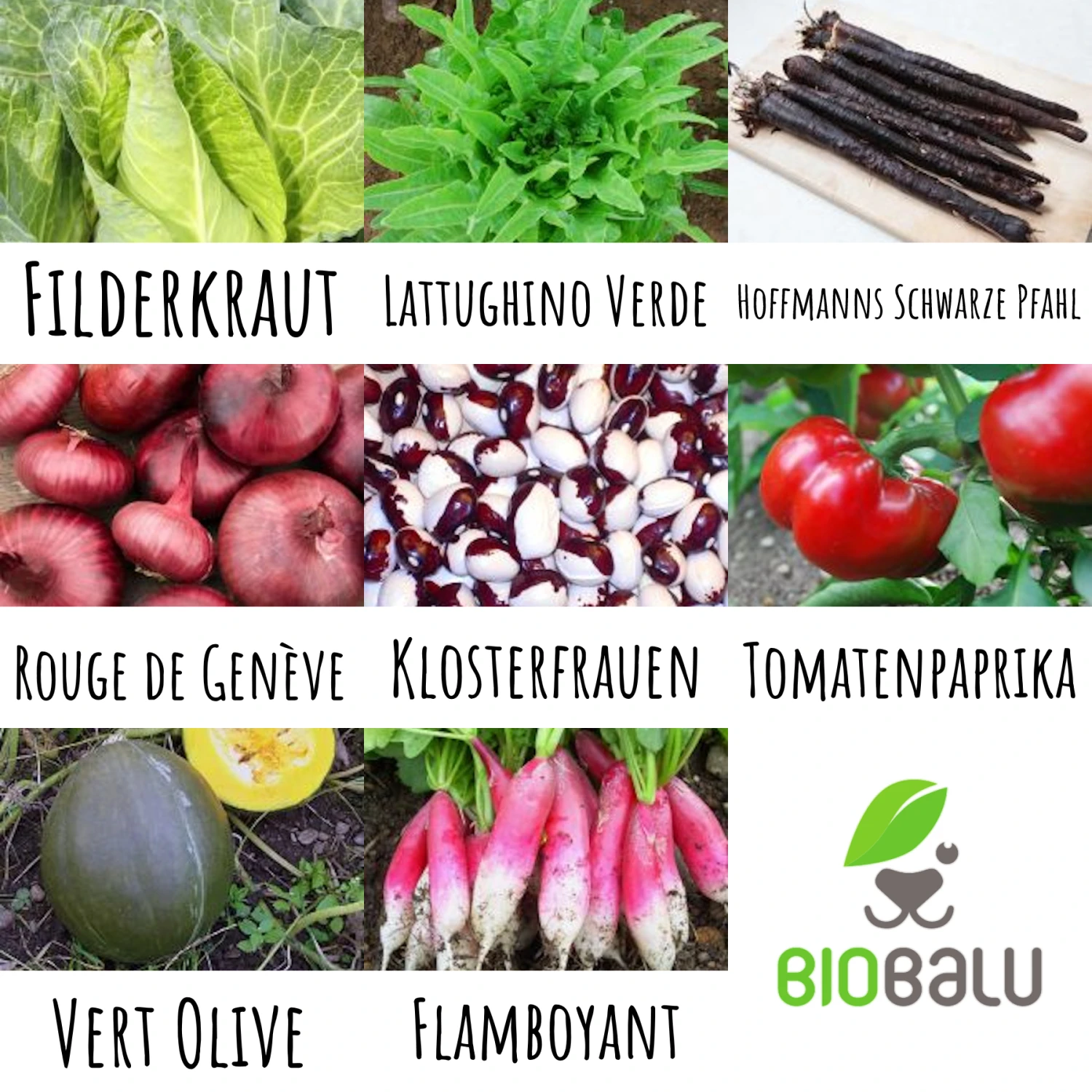 Gourmetgarten 8 Alte Sorten Set | BIO Gemüsesamen-Sets Von Biobalu 1 Gourmetgarten 8 Alte Sorten Set | BIO Gemüsesamen-Sets Von Biobalu