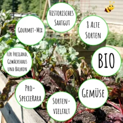 Gourmetgarten 8 Alte Sorten Set | BIO Gemüsesamen-Sets Von Biobalu 7 Gourmetgarten 8 Alte Sorten Set | BIO Gemüsesamen-Sets Von Biobalu -Blumen Raum Verkaufsgeschäft 550615 BIO Gourmetgarten 8 Alte Sorten Set BB1009 4