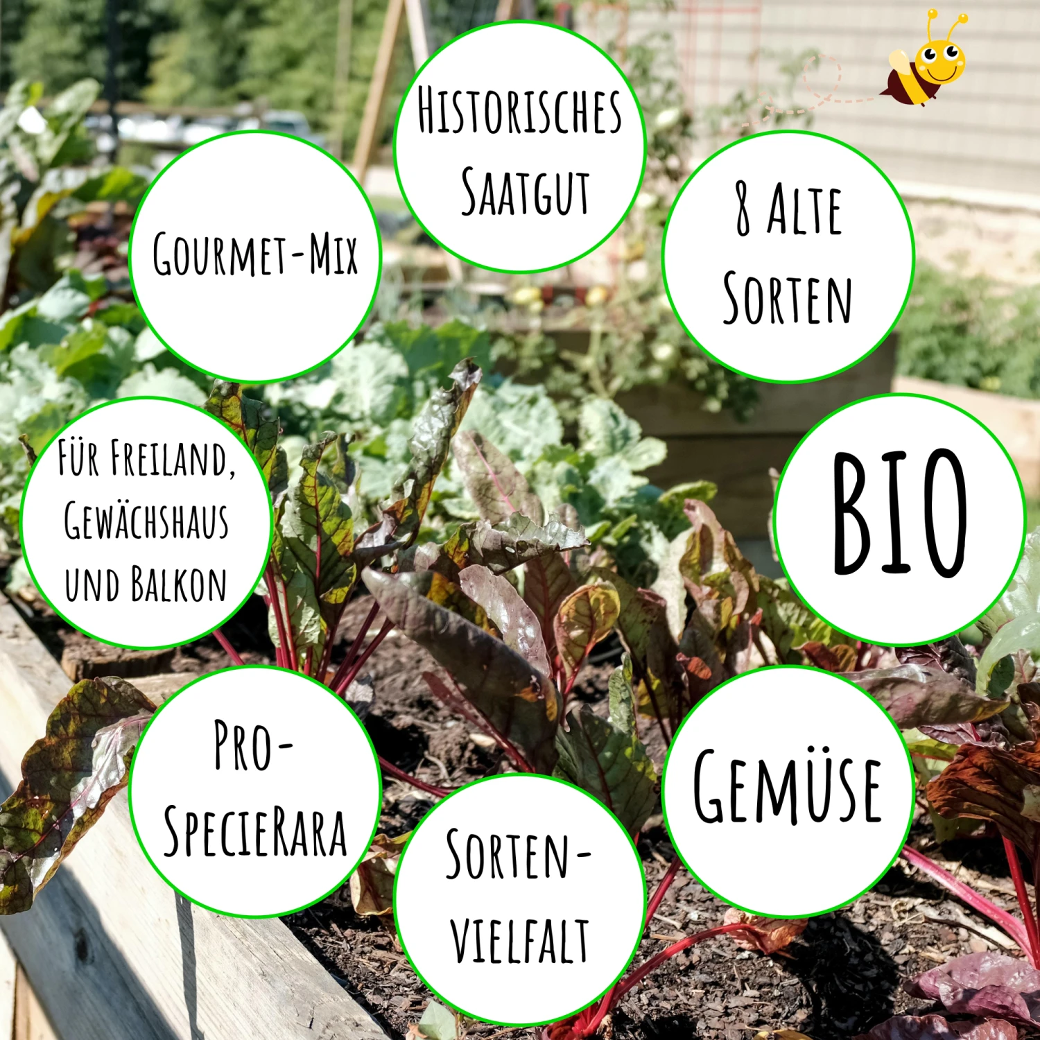 Gourmetgarten 8 Alte Sorten Set | BIO Gemüsesamen-Sets Von Biobalu 3 Gourmetgarten 8 Alte Sorten Set | BIO Gemüsesamen-Sets Von Biobalu – Bild 3