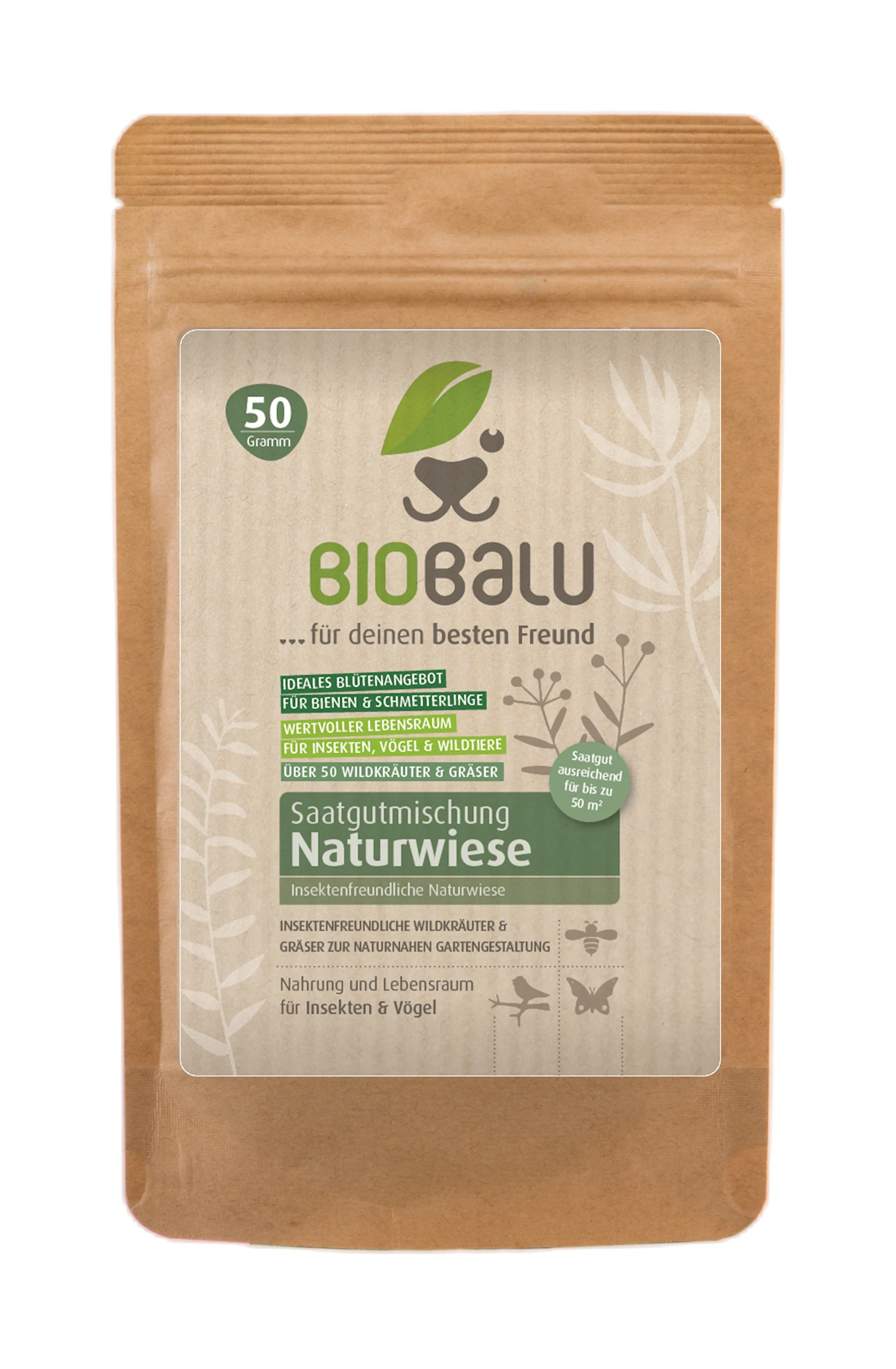 Bienenweide Mit Wildgräsern (Naturwiese) | Bienenwiese Von Biobalu 1 Bienenweide Mit Wildgräsern (Naturwiese) | Bienenwiese Von Biobalu