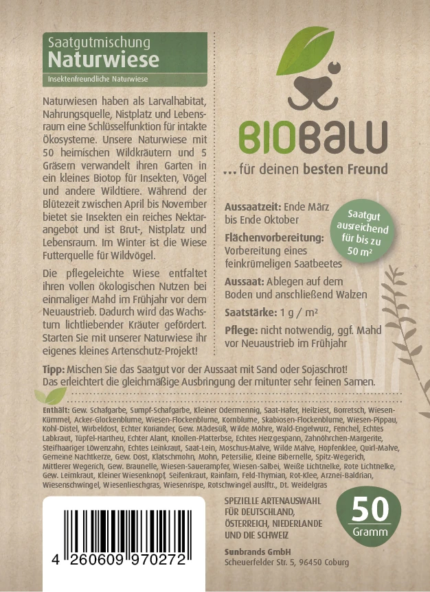 Bienenweide Mit Wildgräsern (Naturwiese) | Bienenwiese Von Biobalu 2 Bienenweide Mit Wildgräsern (Naturwiese) | Bienenwiese Von Biobalu – Bild 2