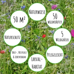 Bienenweide Mit Wildgräsern (Naturwiese) | Bienenwiese Von Biobalu 8 Bienenweide Mit Wildgräsern (Naturwiese) | Bienenwiese Von Biobalu -Blumen Raum Verkaufsgeschäft 550629 Bienenweide mit Wildgraesern Naturwiese BB1016 3