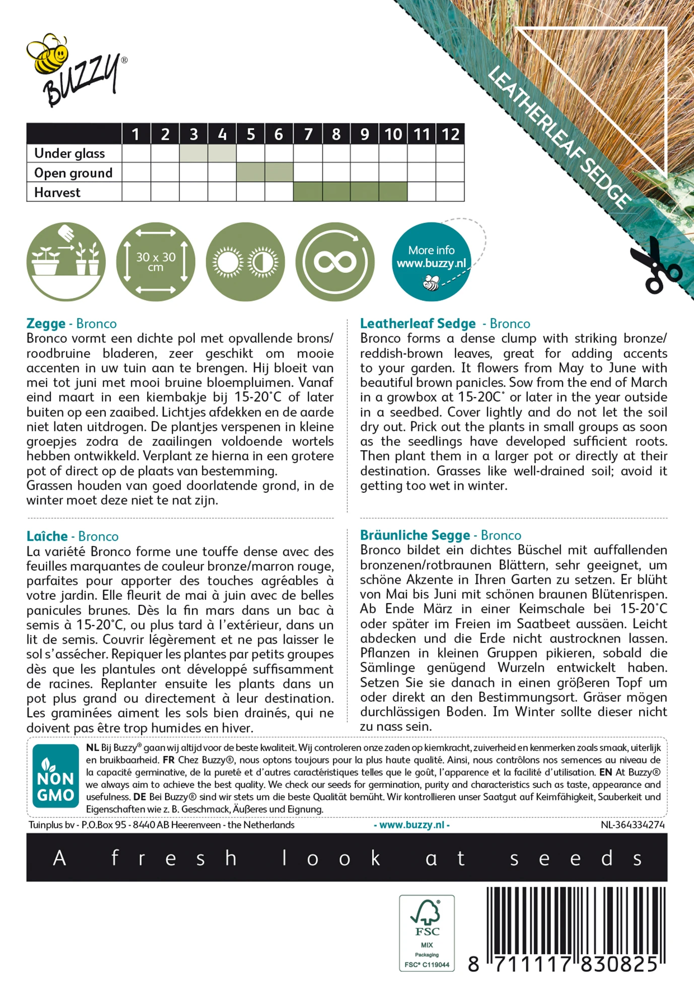 Bräunliche Segge Bronco | Ziergrassamen Von Buzzy Seeds 1 Bräunliche Segge Bronco | Ziergrassamen Von Buzzy Seeds