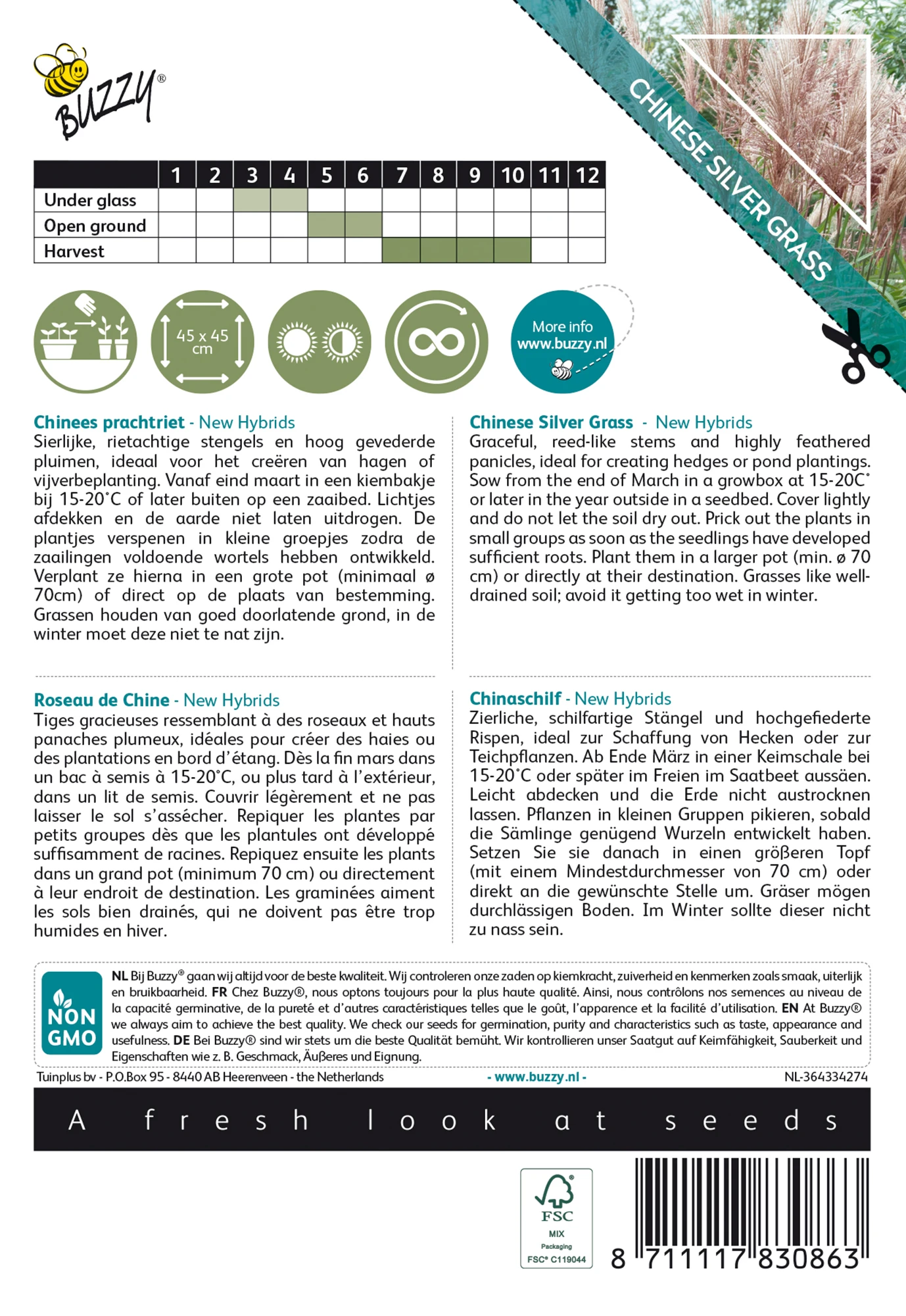 Chinaschilf New Hybrids | Chinaschilfsamen Von Buzzy Seeds 1 Chinaschilf New Hybrids | Chinaschilfsamen Von Buzzy Seeds