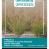 Prärie-Tropfengras | Ziergrassamen Von Buzzy Seeds