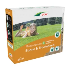 Rasensamen Sonne &amp; Trockenheit (2,275 Kg) | Trockenrasen Von Cuxin DCM
