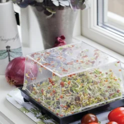 Sprossenbox | Sprossentürme Von Nelson Garden