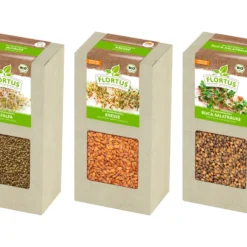Keimsprossen Set "Einsteiger" Mit 3 Sorten (600 G) | BIO Keimsprossen Von FLORTUS 7 Keimsprossen Set "Einsteiger" Mit 3 Sorten (600 G) | BIO Keimsprossen Von FLORTUS -Blumen Raum Verkaufsgeschäft 551895 BIO Keimsprossen Set Einsteiger mit 3 Sorten 600 g 2000 0569 0