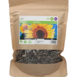 Sonnenblume Giganteus (250 G) | Sonnenblumensamen Von Buzzy Seeds