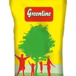 Schattenrasen (10 Kg) | Schattenrasen Von Greenline