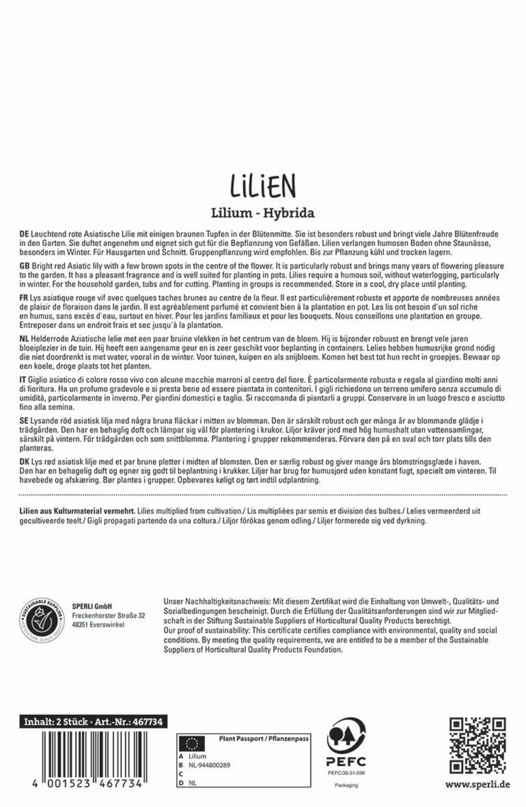 Lilie Pearl Loraine (2 Stück) | Lilienzwiebeln Von Sperli 2 Lilie Pearl Loraine (2 Stück) | Lilienzwiebeln Von Sperli – Bild 2