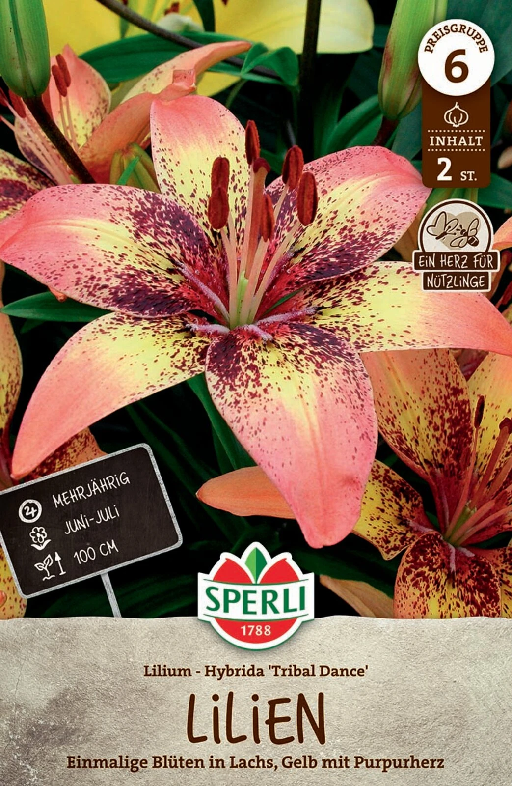 Lilie Tribal Dance (2 Stück) | Lilienzwiebeln Von Sperli 1 Lilie Tribal Dance (2 Stück) | Lilienzwiebeln Von Sperli