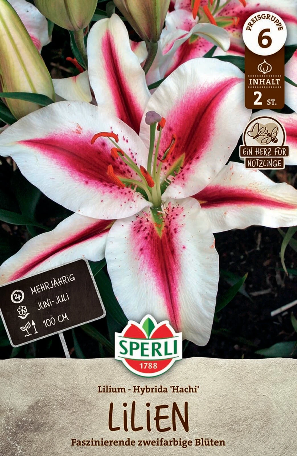 Lilie Hachi (2 Stück) | Lilienzwiebeln Von Sperli 2 Lilie Hachi (2 Stück) | Lilienzwiebeln Von Sperli – Bild 2