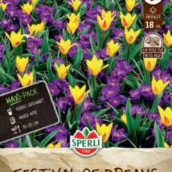 Festival Of Dreams (18 Stück) | Blumenzwiebelmischungen Von Sperli