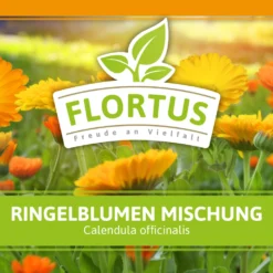 Ringelblumen Mischung | Blumenwiese Von FLORTUS 13 Ringelblumen Mischung | Blumenwiese Von FLORTUS -Blumen Raum Verkaufsgeschäft 554533 Ringelblumen Mischung 1 kg 530747 Ringelblumen Mischung 1 kg 2000 0209 2