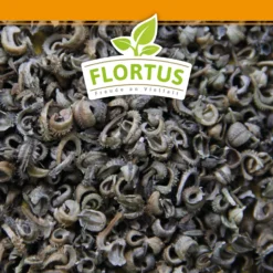 Ringelblumen Mischung | Blumenwiese Von FLORTUS 9 Ringelblumen Mischung | Blumenwiese Von FLORTUS -Blumen Raum Verkaufsgeschäft 554533 Ringelblumen Mischung 1 kg 530747 Ringelblumen Mischung 1 kg 2000 0209 6