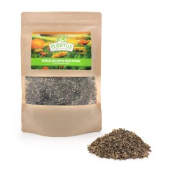 Ringelblumen Mischung | Blumenwiese Von FLORTUS 10 Ringelblumen Mischung | Blumenwiese Von FLORTUS -Blumen Raum Verkaufsgeschäft 554533 Ringelblumen Mischung 2000 0727 0