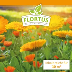 Ringelblumen Mischung | Blumenwiese Von FLORTUS 11 Ringelblumen Mischung | Blumenwiese Von FLORTUS -Blumen Raum Verkaufsgeschäft 554533 Ringelblumen Mischung 2000 0727 100g 1
