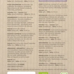 Stauden Bienenweide | BIO Bienenwiese Von Biobalu -Blumen Raum Verkaufsgeschäft 554548 BIO Stauden Bienenweide BB1023 1