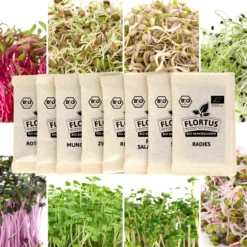 Keimsprossen Set Regenbogen (8 Sorten) | BIO Keimsprossen Sets Von FLORTUS | BIO Gewürze Set -Blumen Raum Verkaufsgeschäft 554611 BIO Keimsprossen Set Regenbogen 8 Sorten 2000 0739 5
