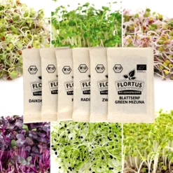 Keimsprossen Set Scharf (6 Sorten) | BIO Keimsprossen Sets Von FLORTUS 11 Keimsprossen Set Scharf (6 Sorten) | BIO Keimsprossen Sets Von FLORTUS -Blumen Raum Verkaufsgeschäft 554613 BIO Keimsprossen Set Scharf 6 Sorten 2000 0737 5