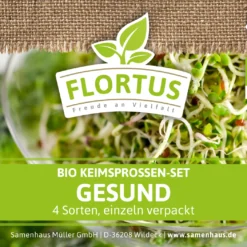 Keimsprossen Set Gesund (4 Sorten) | BIO Keimsprossen Sets Von FLORTUS