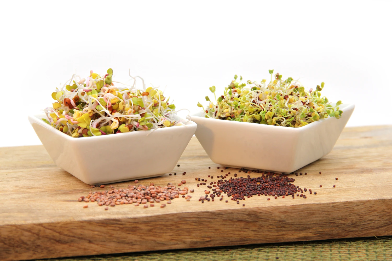 Keimsprossen Set Gesund (4 Sorten) | BIO Keimsprossen Sets Von FLORTUS 3 Keimsprossen Set Gesund (4 Sorten) | BIO Keimsprossen Sets Von FLORTUS – Bild 3