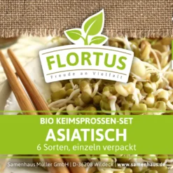 Keimsprossen Set Asiatisch (6 Sorten) | BIO Keimsprossen Sets Von FLORTUS 10 Keimsprossen Set Asiatisch (6 Sorten) | BIO Keimsprossen Sets Von FLORTUS -Blumen Raum Verkaufsgeschäft 554615 BIO Keimsprossen Set Asiatisch 6 Sorten 2000 0735 1